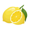 ripe juicy lemons vector image