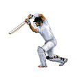 abstract batsman playing cricket from splash vector image vector image