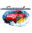 car washing sign with sponge vector image