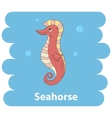 cartoon cute seahorse vector image vector image