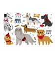 cute dogs funny kids domestic animals happy pets vector image vector image