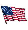 flag of usa vector image