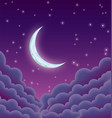 starry moonlit night vector image vector image
