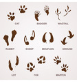 wildlife tracks vector image