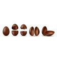set of chocolate eggs broken and cracked eggshell vector image