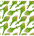 seamless endless pattern with roses on white vector image