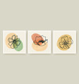 botanical wall art posters templates set vector image vector image