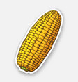 corn cob without leaves healthy vegetarian food vector image vector image