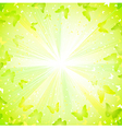 summer decorative composition vector image