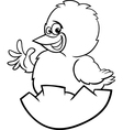 easter chicken cartoon coloring page vector image