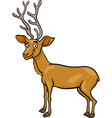 Wapiti deer cartoon Royalty Free Vector Image - VectorStock