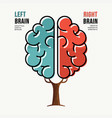 human brain concept for right and left hemisphere vector image