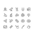 line science icons vector image vector image