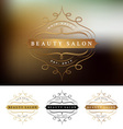 beauty salon frame logo design vector image vector image