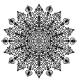 floral pattern round vector image
