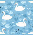 seamless pattern with white swans floating vector image vector image