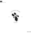 natural wood logo template vector image