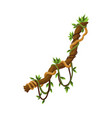 twisted wild lianas branches banner jungle vine vector image vector image