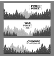 pine forest horizontal banner set vector image