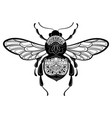 bee with patterns black white ornaments vector image vector image