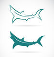 sharks vector image