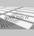 shadow overlay effect and light vector image vector image