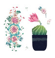 succulents cacti hand drawn on a white background vector image vector image