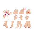 hands feet and nails manicure vector image