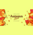 autumn sale banner vector image vector image