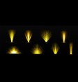 realistic set of golden light shine on transparent vector image vector image