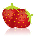 strawberry vector image