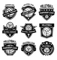 volleyball emblems on white background design vector image vector image