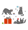 set of cats vector image vector image