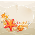 shells and starfishes vector image vector image