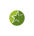star logo vector image
