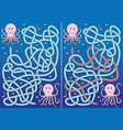 octopus maze vector image