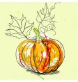 pumpkin vector image