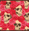 seamless pattern with human skulls and red roses vector image