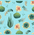 hand drawn decorative seamless pattern with cacti vector image vector image