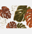 tropic monstera palm leaves herbs with gold foil vector image vector image