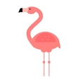 cool pink flamingo vector image