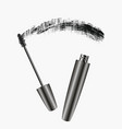 mascara brush strokes vector image vector image