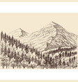 mountains panorama alpine forest drawing vector image