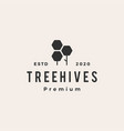 hexagon tree hive hipster vintage logo icon vector image