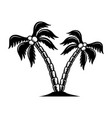 palm in tattoo style summer theme design element vector image