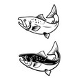 set of salmon icons on white background design vector image vector image