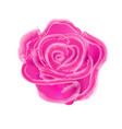 watercolor painting pink roses on a white vector image vector image