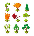 low poly isometric trees vector image vector image