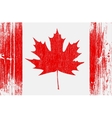 canadian flag on wood vector image vector image