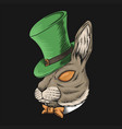 rabbit head st patricks day vector image